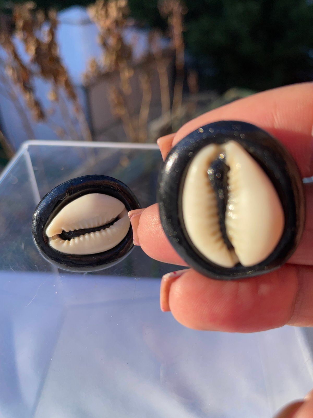 Cowrie shells cufflinks set in black