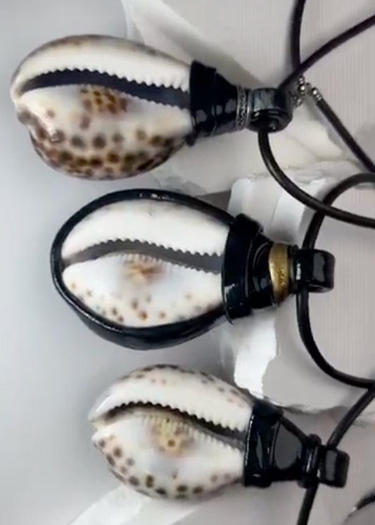 Extra Large Cowrie Shells (top wrap)