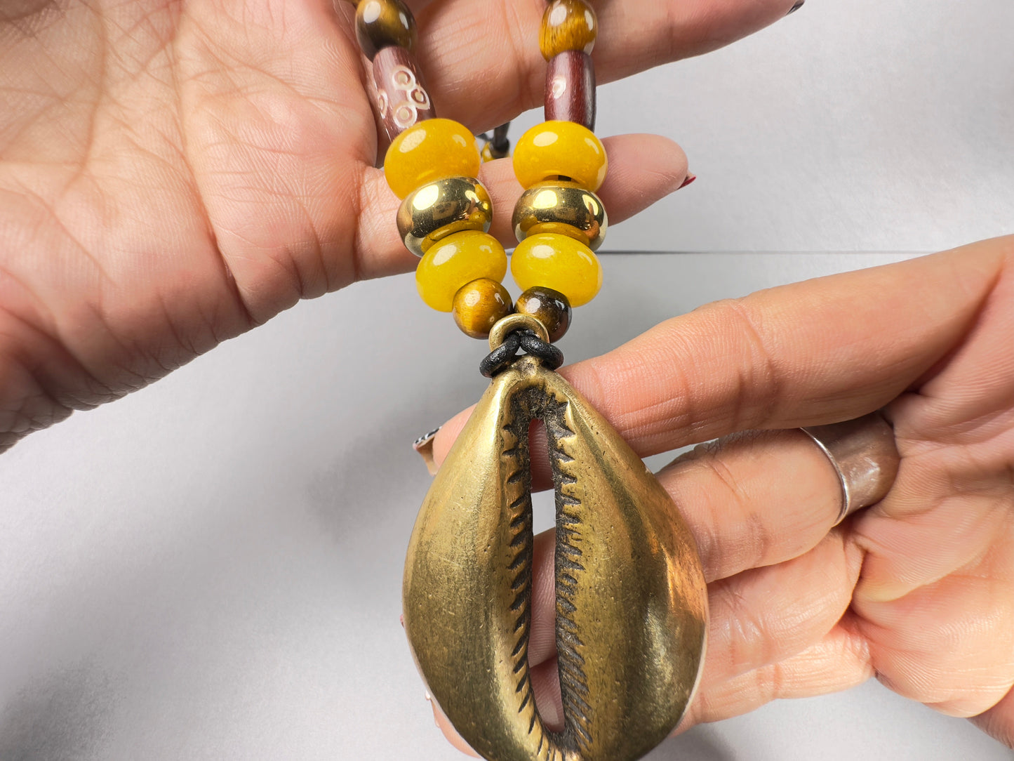 Yellow Jade Cowry
