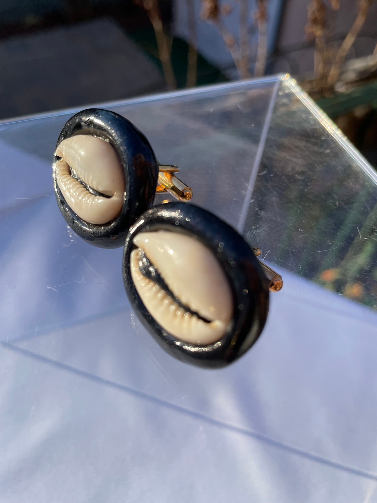 Cowrie shells cufflinks set in black